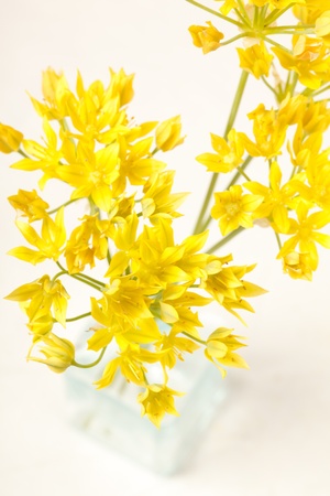 yellow flowers in the vaseの写真素材