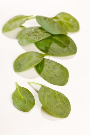 fresh spinachの写真素材