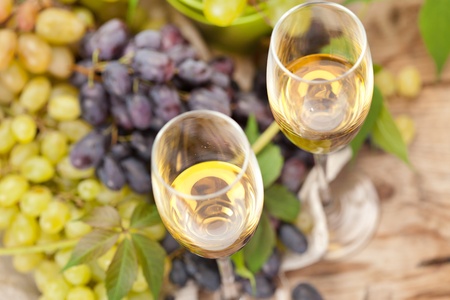 wine samplingの写真素材