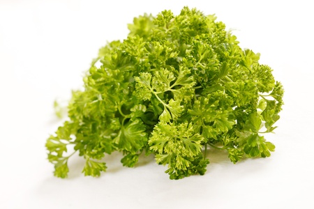 parsley on white backgroundの写真素材