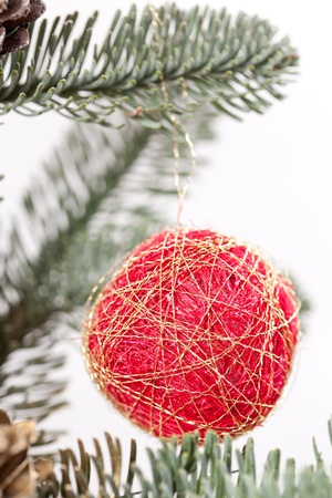 christmas treeの写真素材