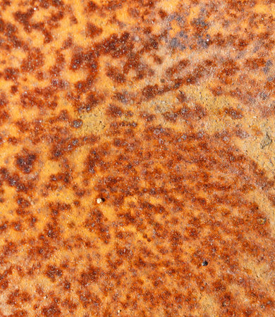 Rusty Texture 
