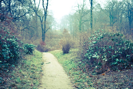 autumn park