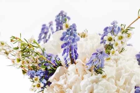 spring flowersの写真素材