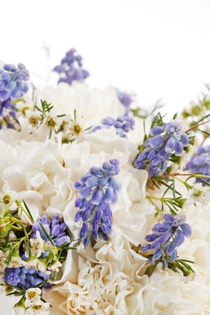 spring flowersの写真素材