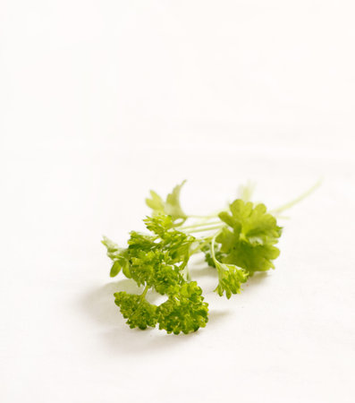 parsley on white background