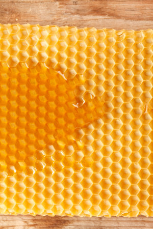 fresh honey in comb 