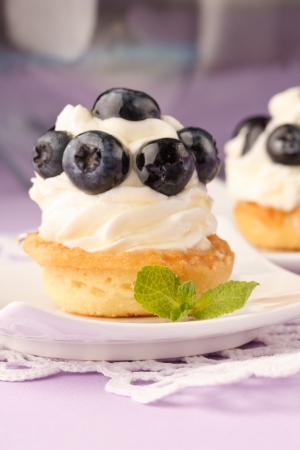 Fresh fruit tart の写真素材