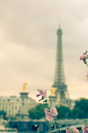 spring Eiffel tower in Paris の写真素材