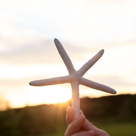 Girl holding a starfishの写真素材