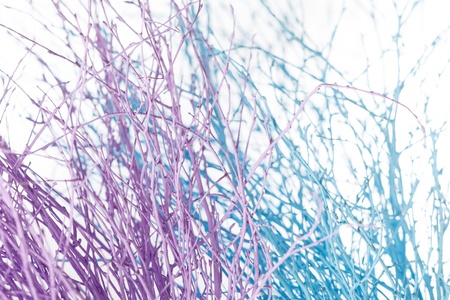 christmas treeの写真素材