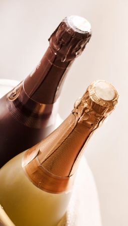 champagne bottle in bucket の写真素材