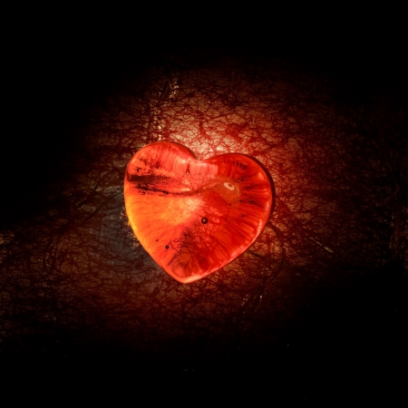 red heartの写真素材