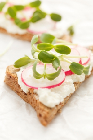  sandwiches with radish and sunflower sproutsの写真素材