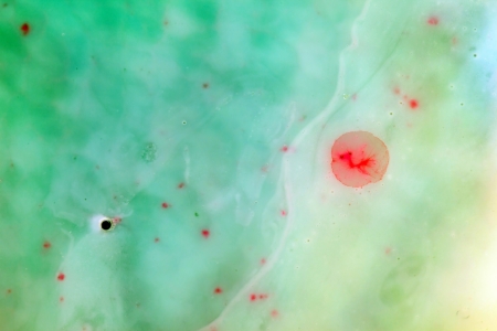 watercolor backgroundの写真素材