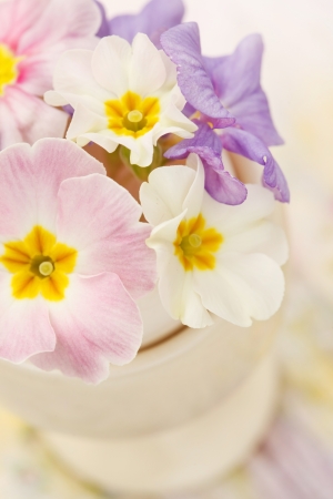 spring flowers の写真素材