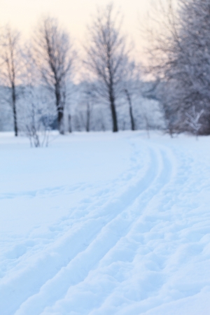 Winter landscapeの写真素材
