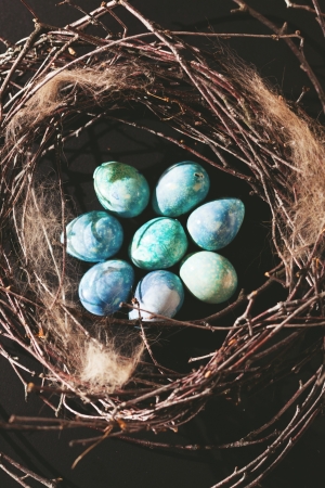 blue easter eggsの写真素材