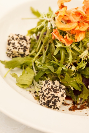 salad with arugula and cheeseの写真素材
