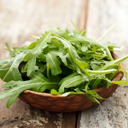 fresh arugula saladの写真素材