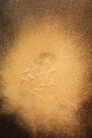 gold backgroundの写真素材