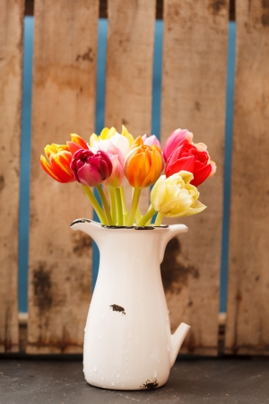 nice tulipsの写真素材