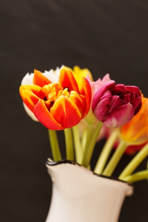 nice tulipsの写真素材
