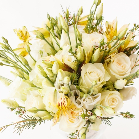 beautiful flowersの写真素材