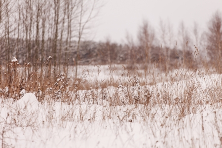 nice winterの写真素材