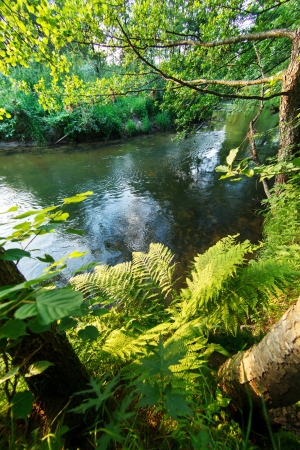 summer landscapeの写真素材