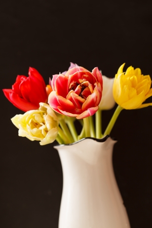 nice tulipsの写真素材