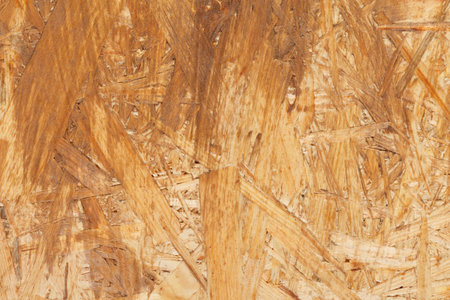 Wood Texture