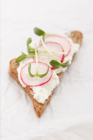  sandwiches with radish and sunflower sproutsの写真素材