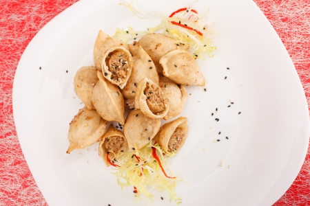 fried meat dumplingsの写真素材