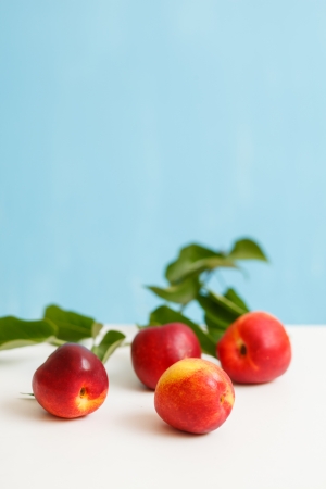 fresh nectarinesの写真素材