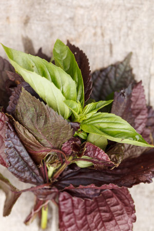 Fresh basil
