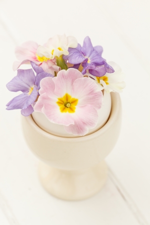 spring flowersの写真素材