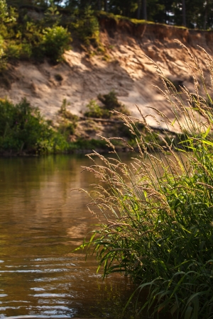 Forest riverの写真素材