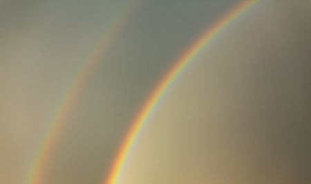 raibbowの写真素材