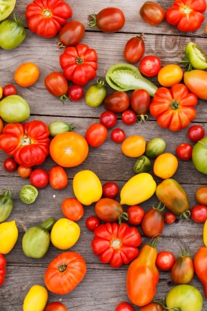 colorful tomatoesの写真素材