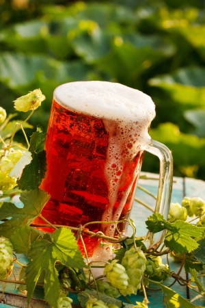 hops with beer の写真素材