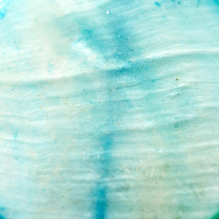 shell macro background