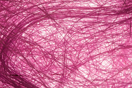 Natural sisalの写真素材