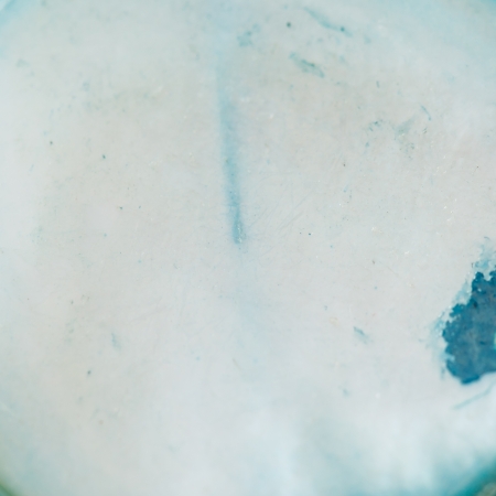 shell macro backgroundの写真素材