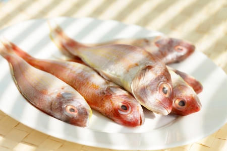 Japanese doradoの写真素材