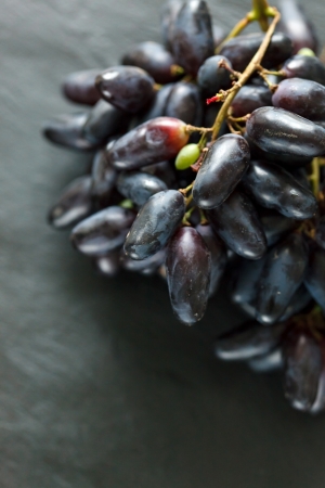 blue grapesの写真素材