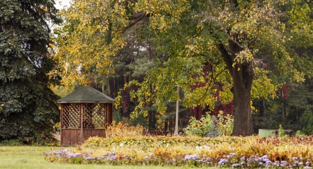 autumn gardenの写真素材