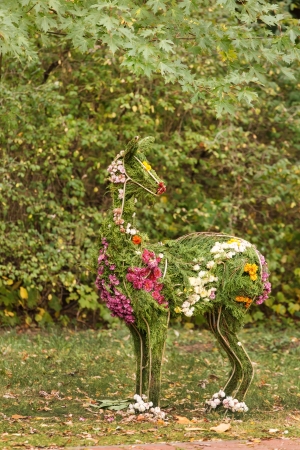 flowers lamaの写真素材