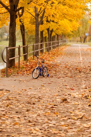 autumn parkの写真素材