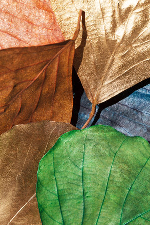 Color leaves
